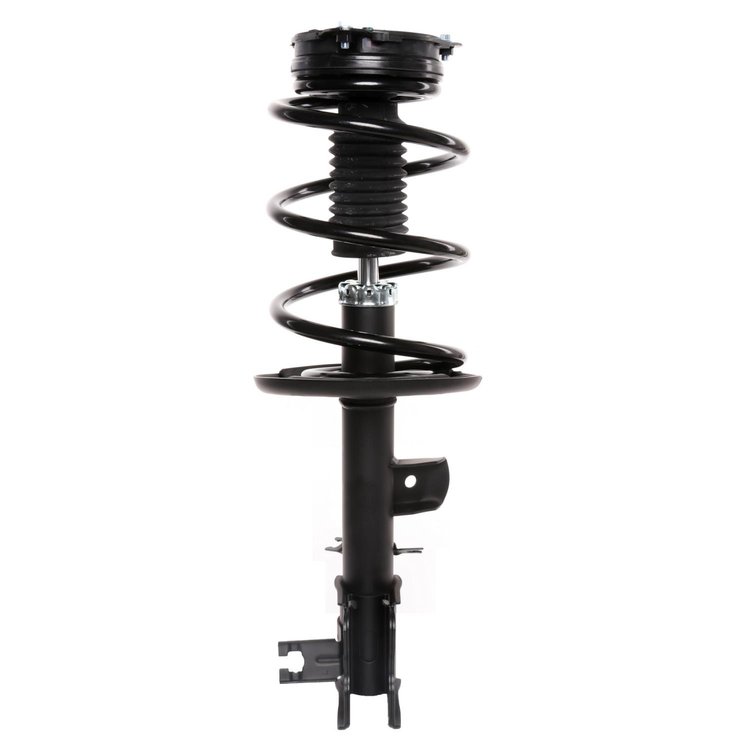 Strut Assembly