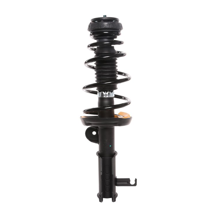 Strut Assembly