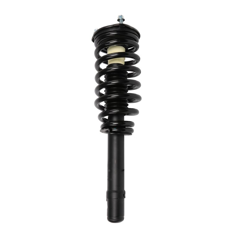 Strut Assembly