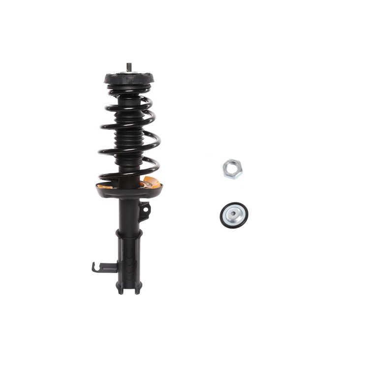 Strut Assembly