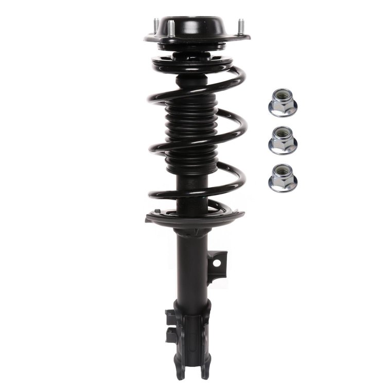 Strut Assembly