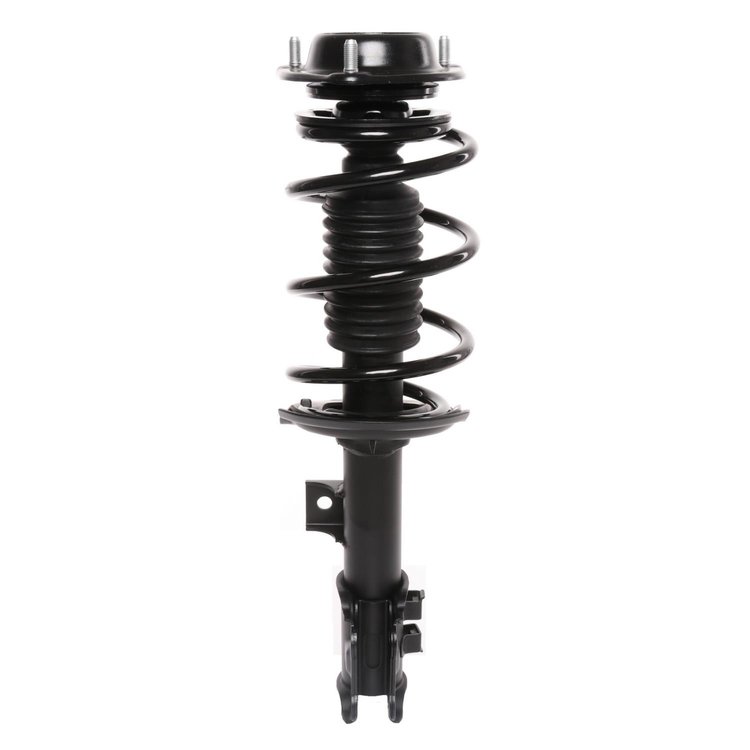 Strut Assembly