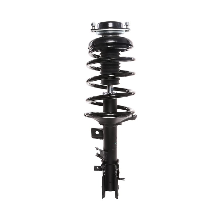 Strut Assembly