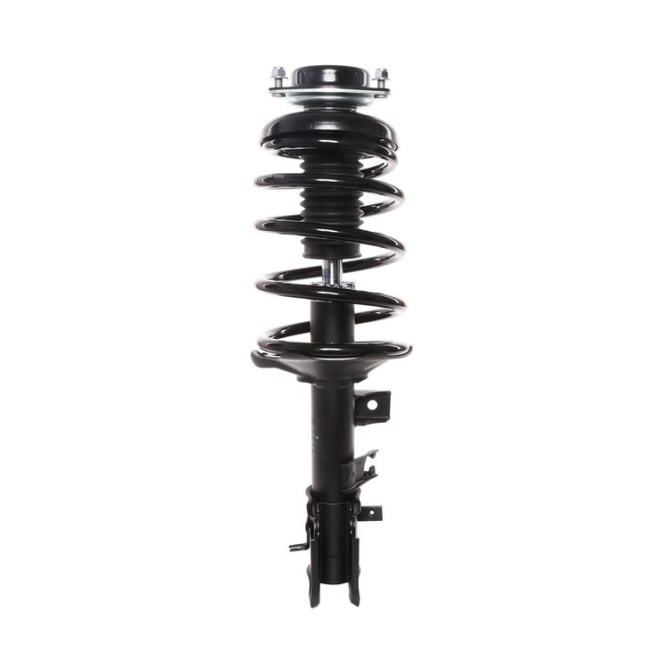 Strut Assembly