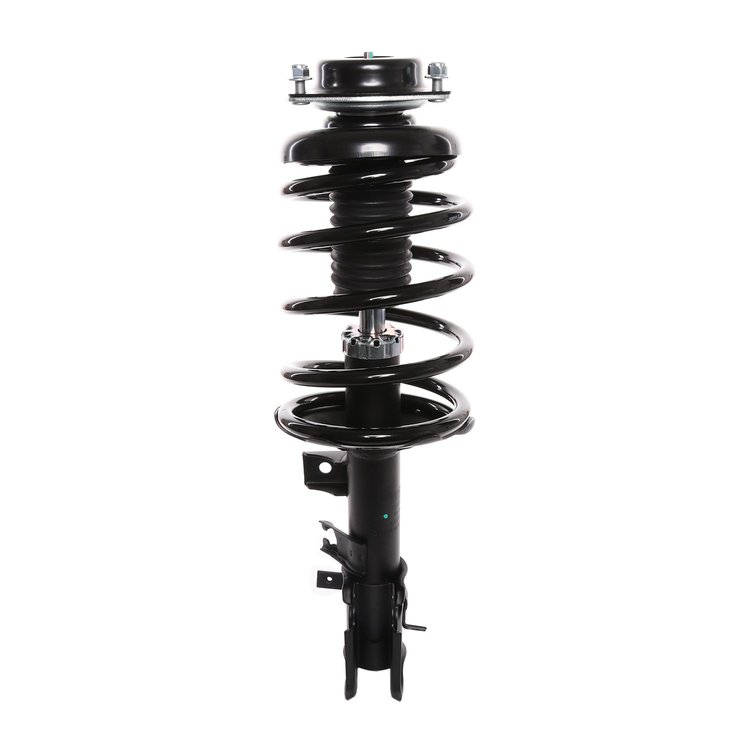 Strut Assembly