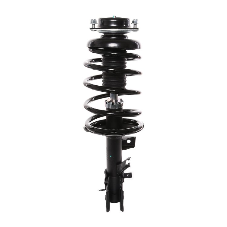 Strut Assembly