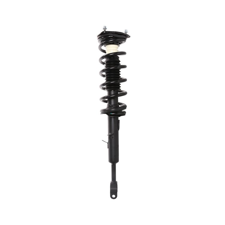 Strut Assembly