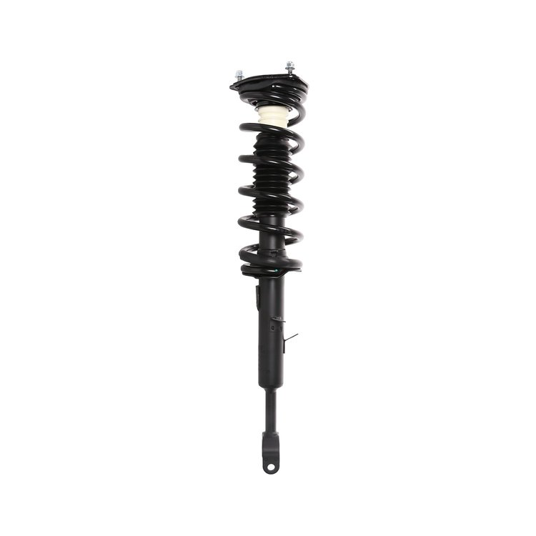 Strut Assembly