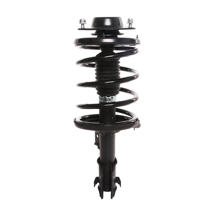 Strut Assembly