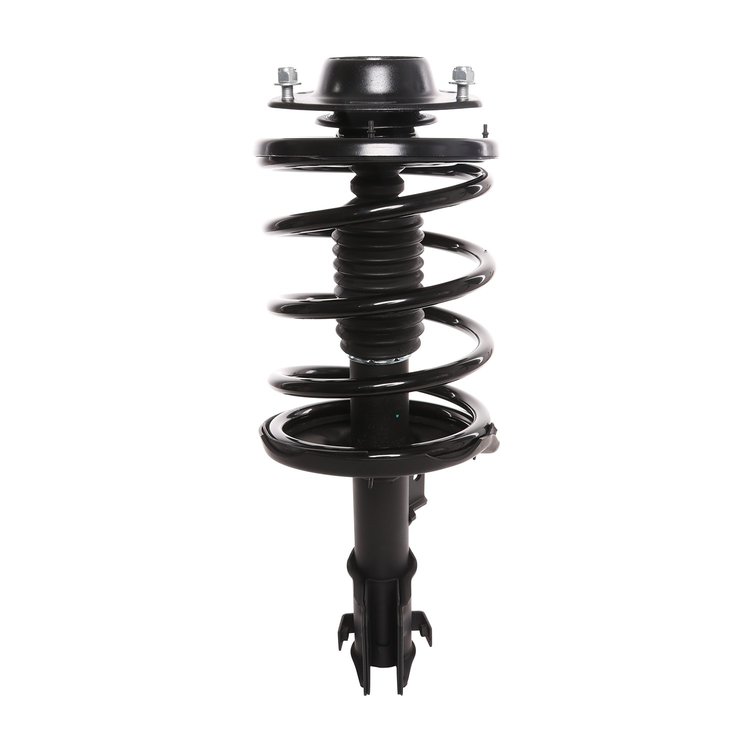 Strut Assembly