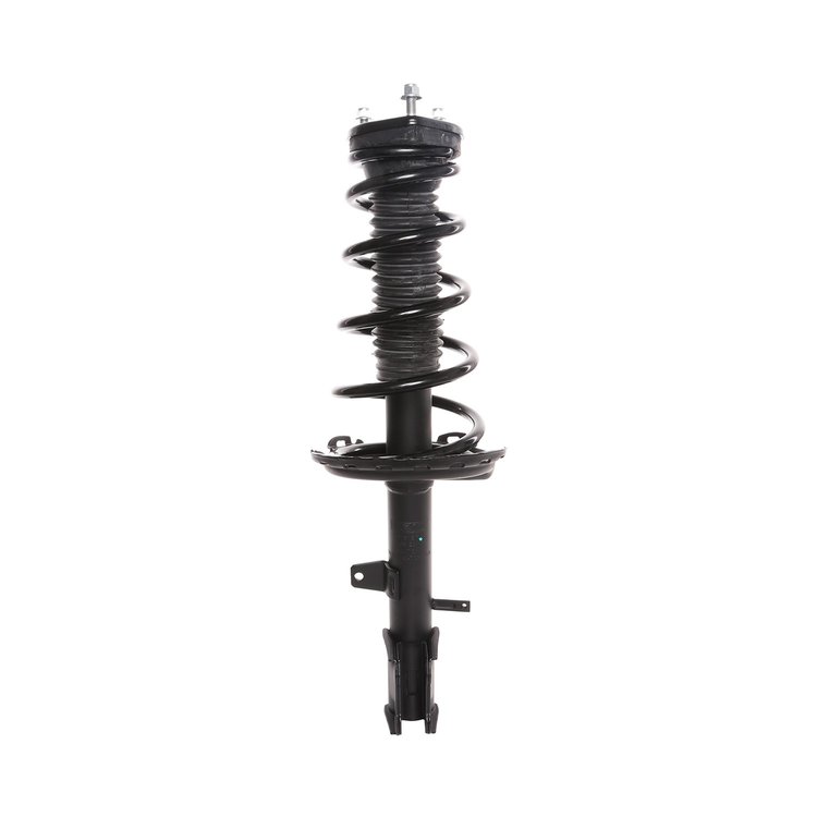 Strut Assembly