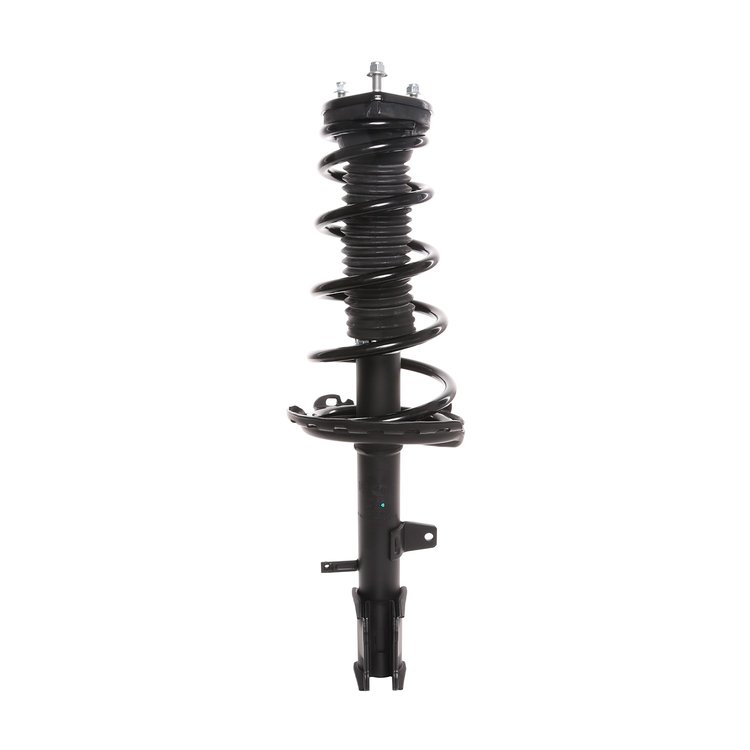 Strut Assembly