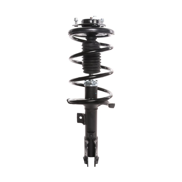 Strut Assembly