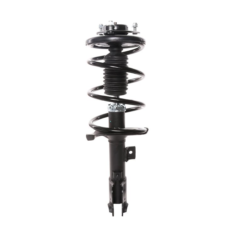 Strut Assembly