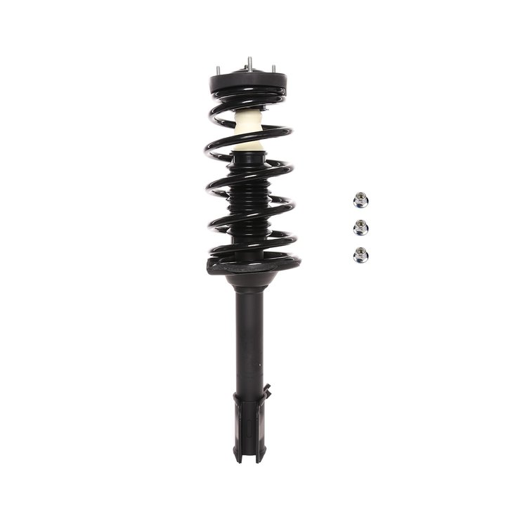 Strut Assembly