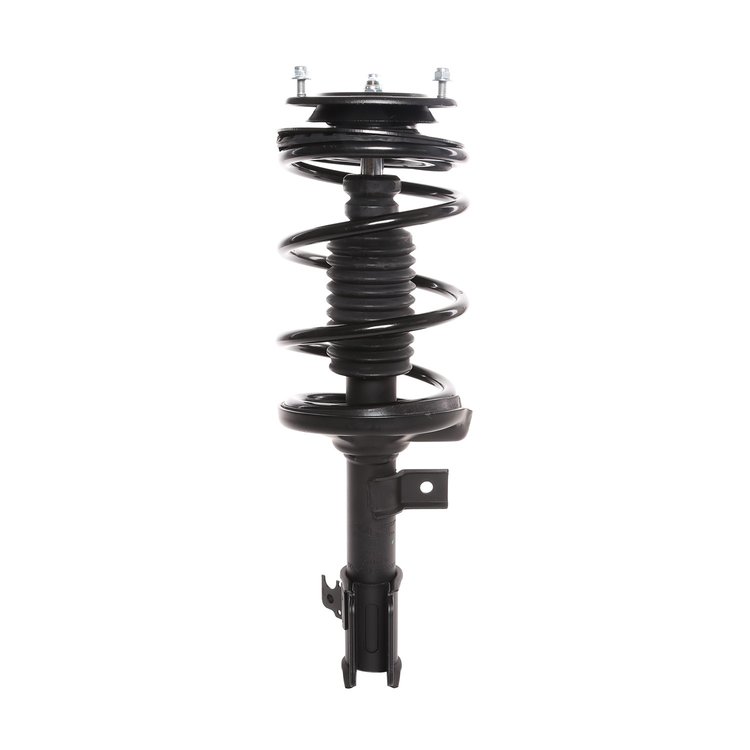 Strut Assembly