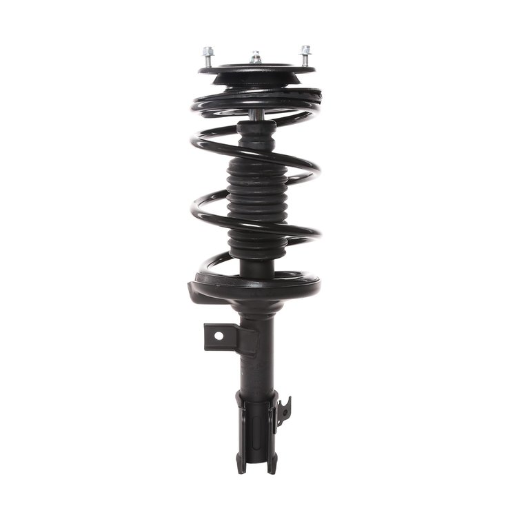 Strut Assembly