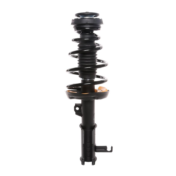 Strut Assembly