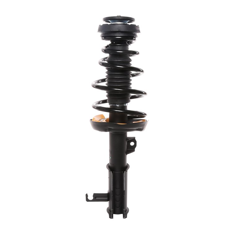 Strut Assembly