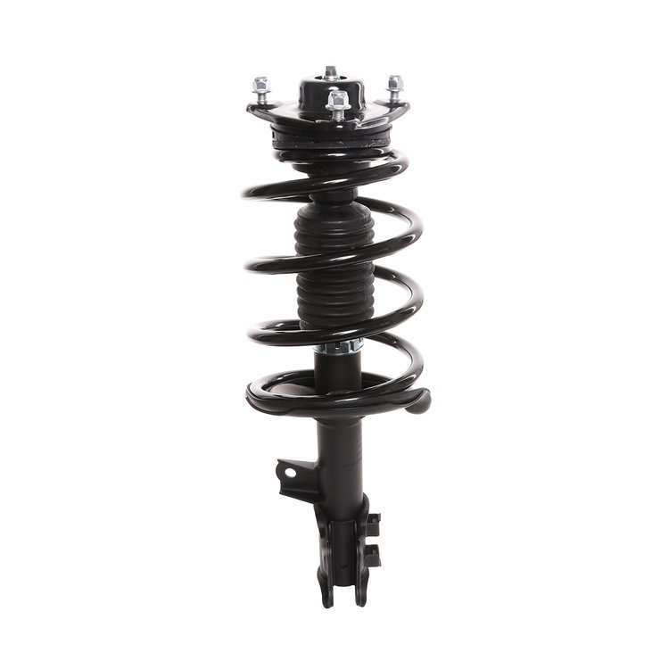 Strut Assembly
