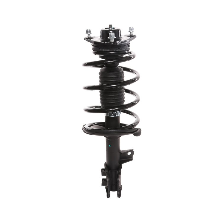 Strut Assembly
