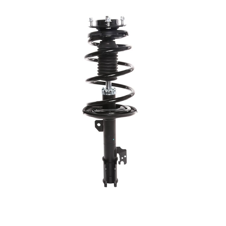 Strut Assembly