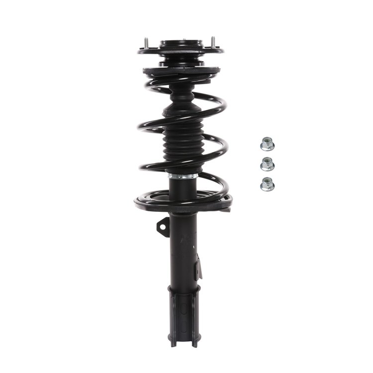 Strut Assembly