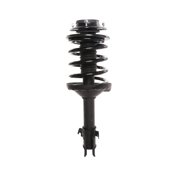 Strut Assembly