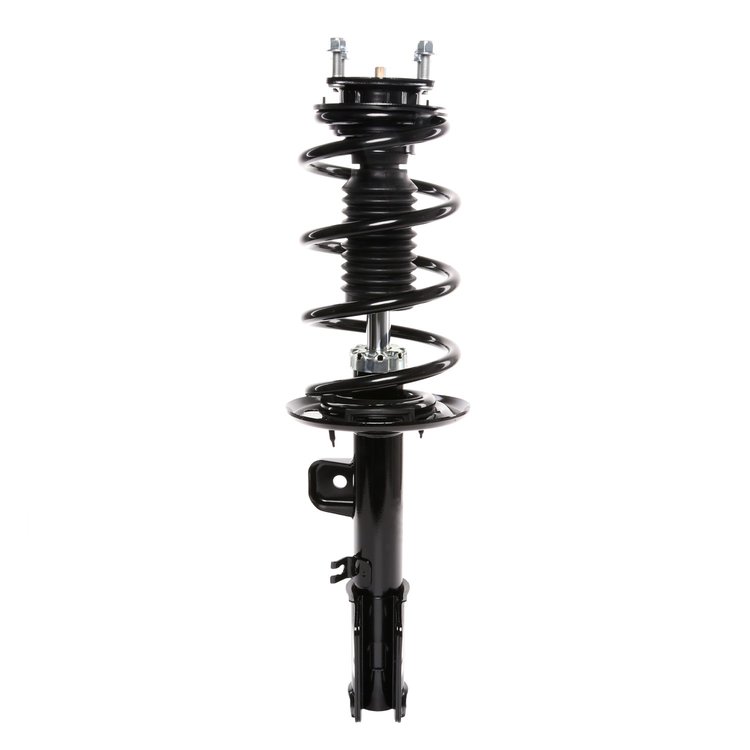 Strut Assembly