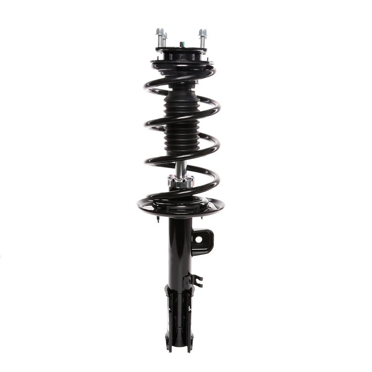 Strut Assembly
