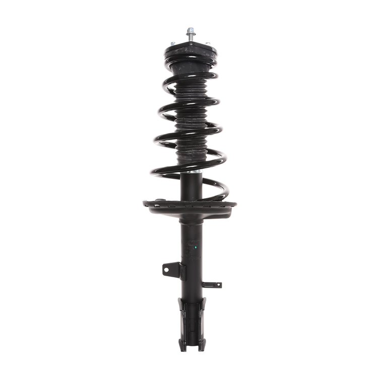 Strut Assembly