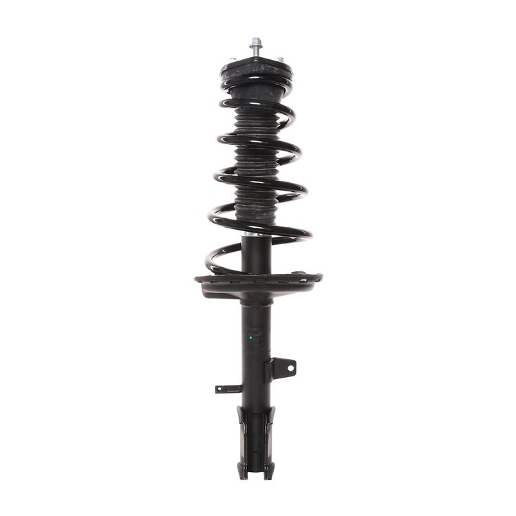 Strut Assembly