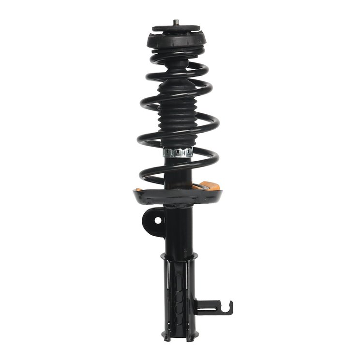 Strut Assembly