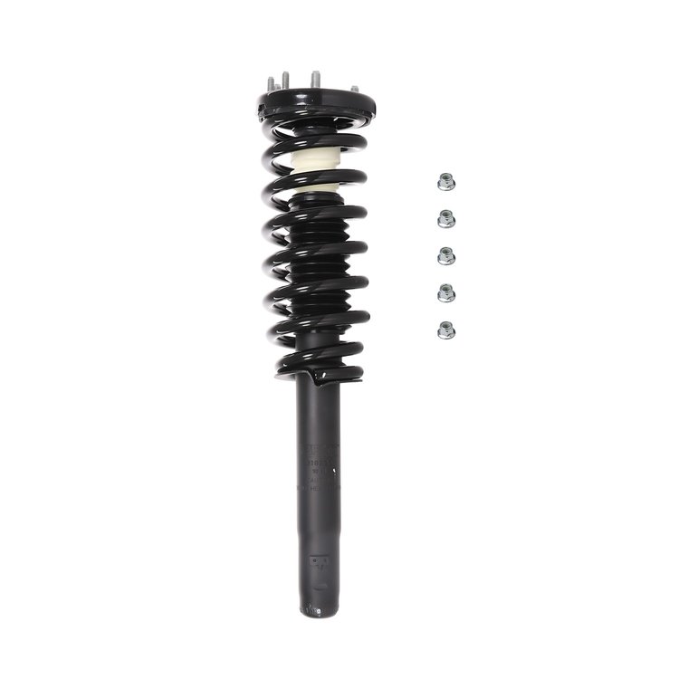 Strut Assembly