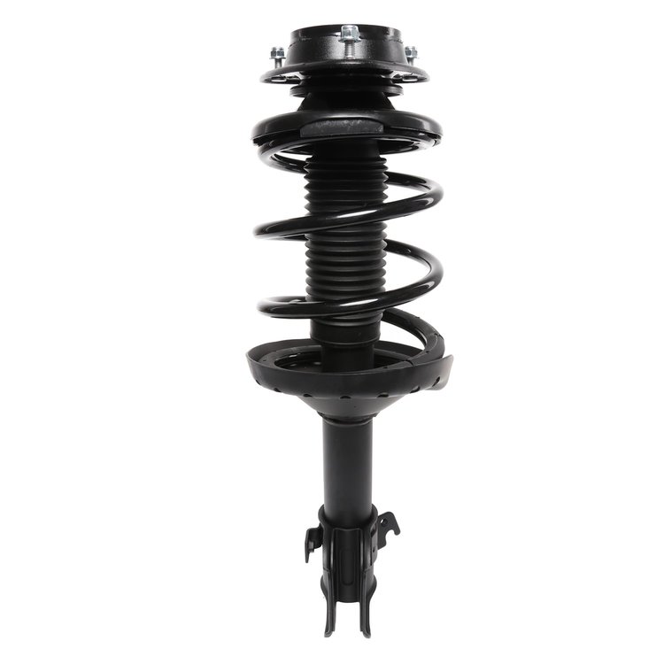 Strut Assembly
