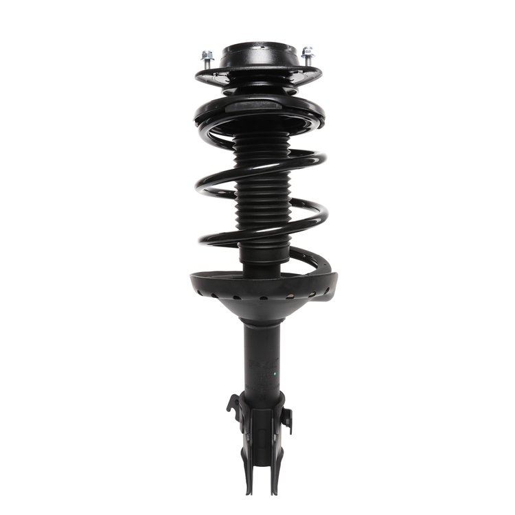 Strut Assembly