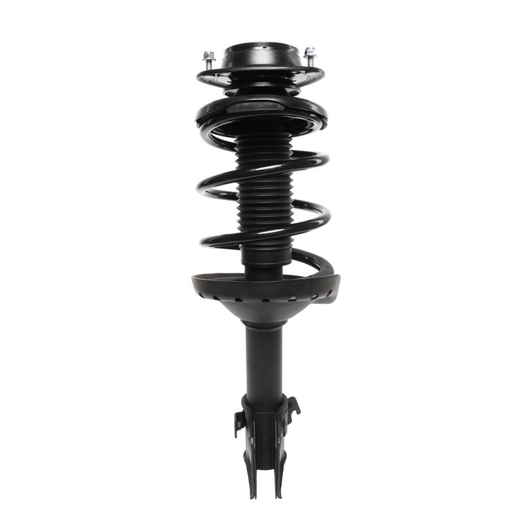 Strut Assembly