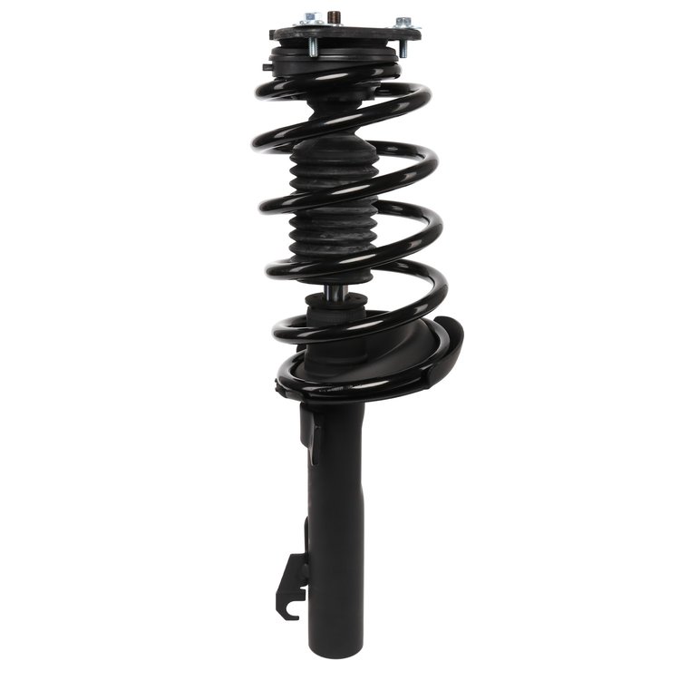 Strut Assembly