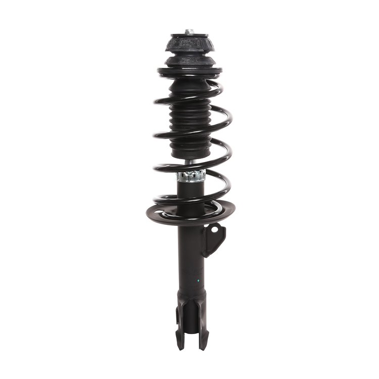Strut Assembly