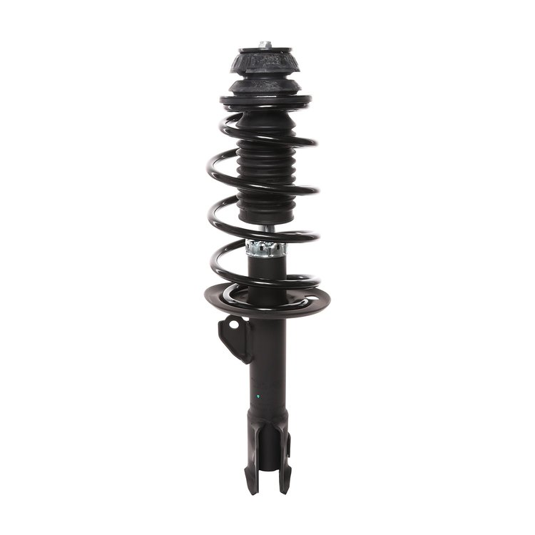 Strut Assembly