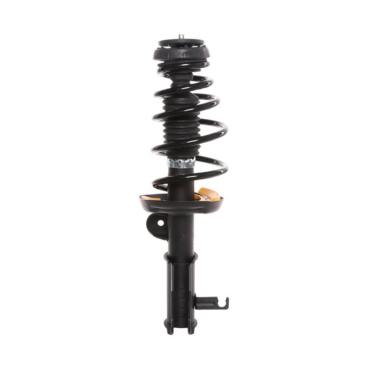Strut Assembly