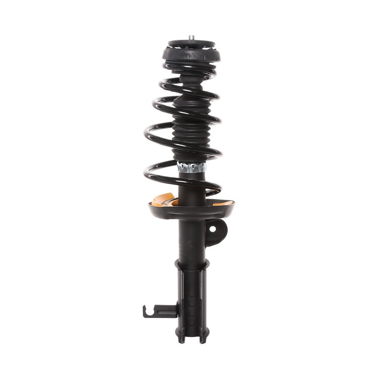 Strut Assembly