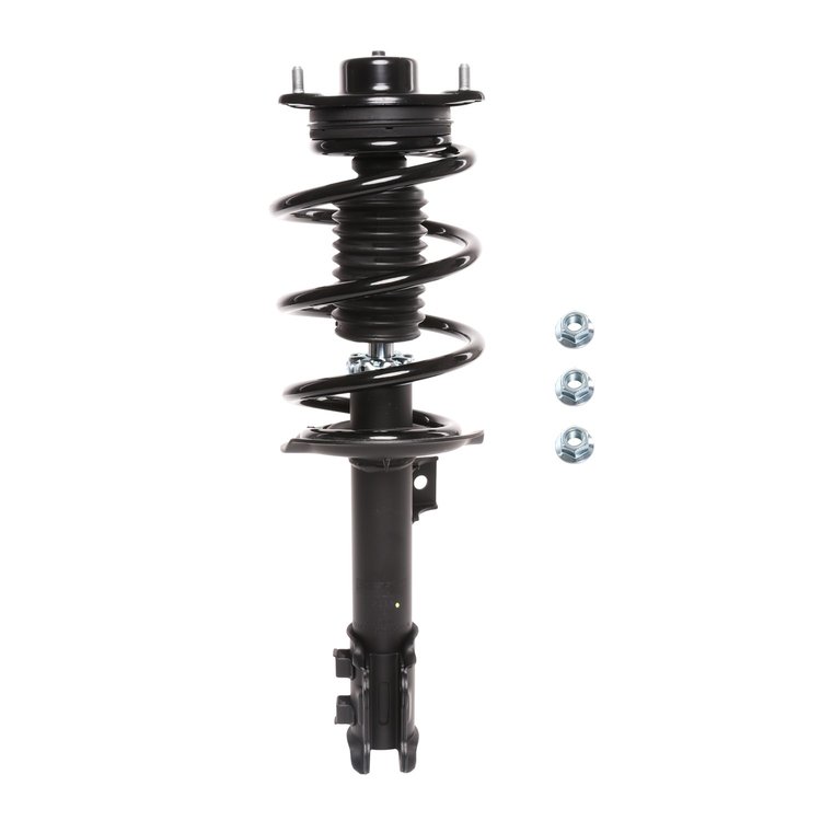 Strut Assembly