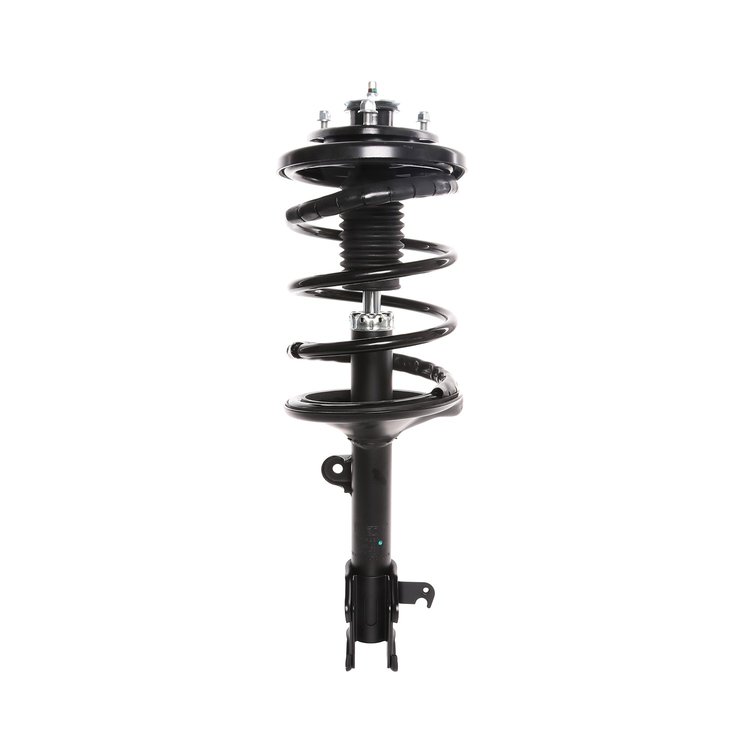 Strut Assembly