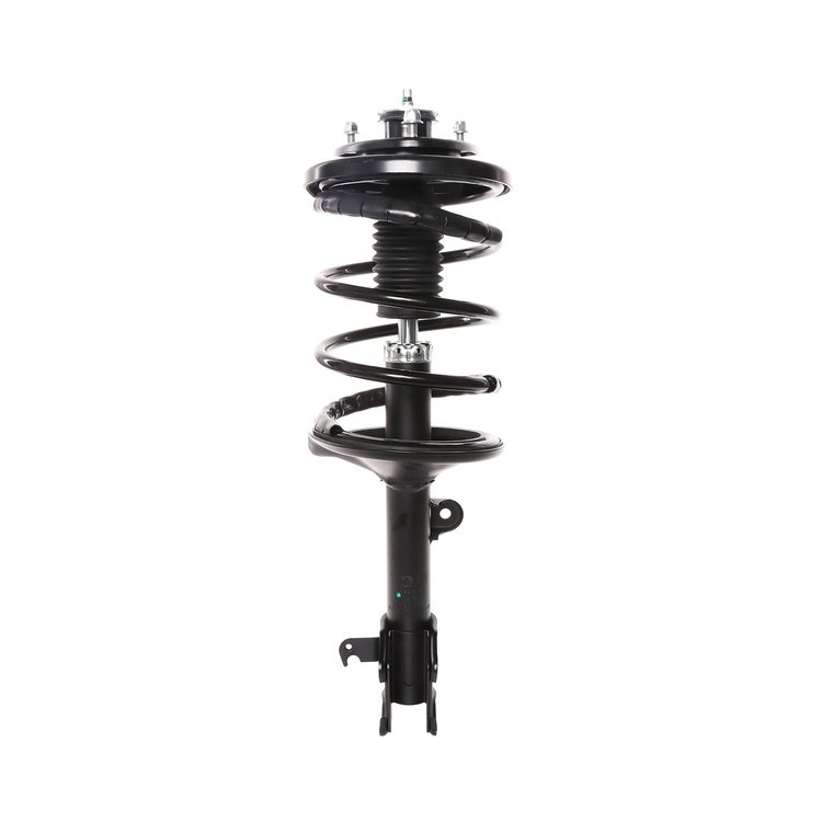 Strut Assembly