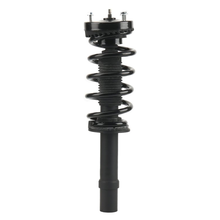 Strut Assembly