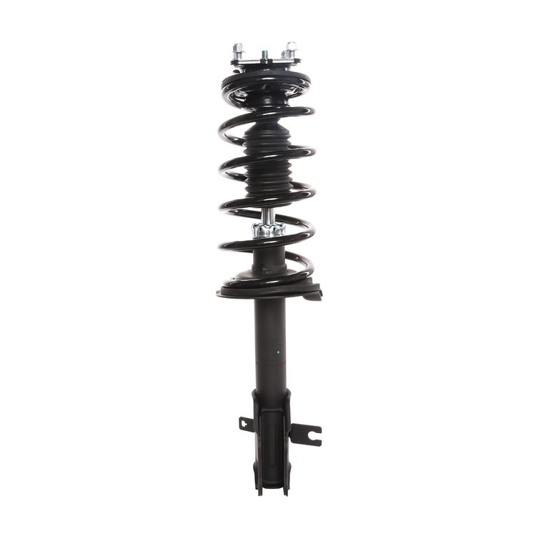 Strut Assembly