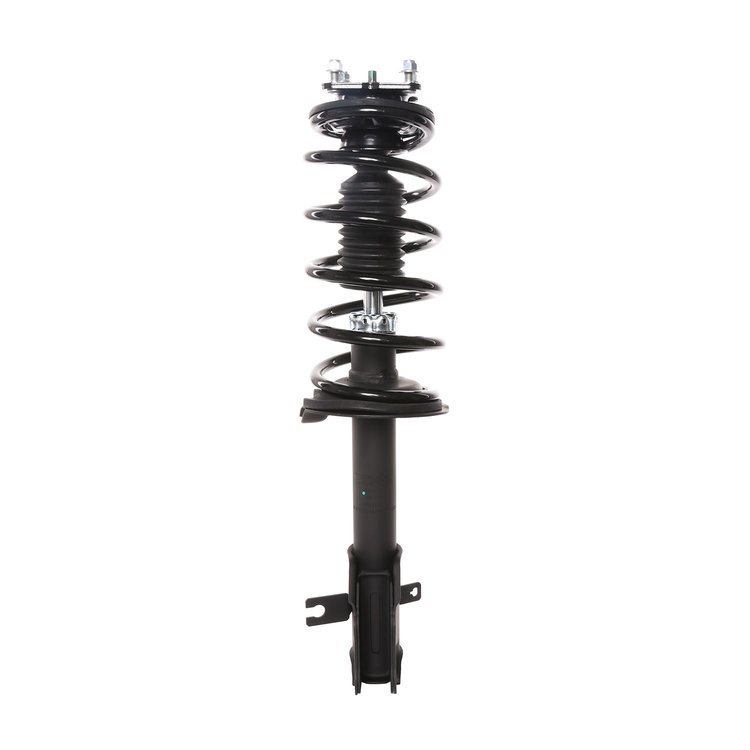 Strut Assembly