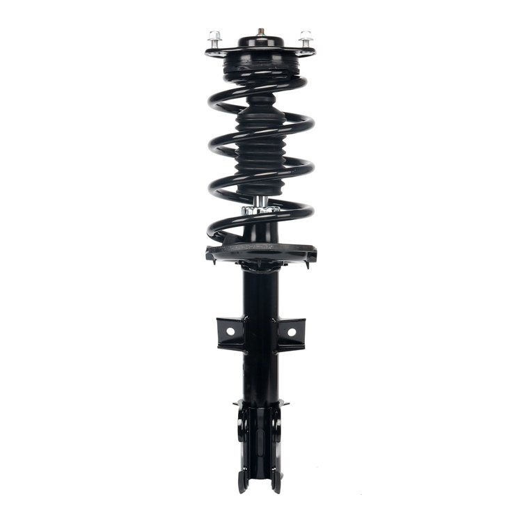 Strut Assembly