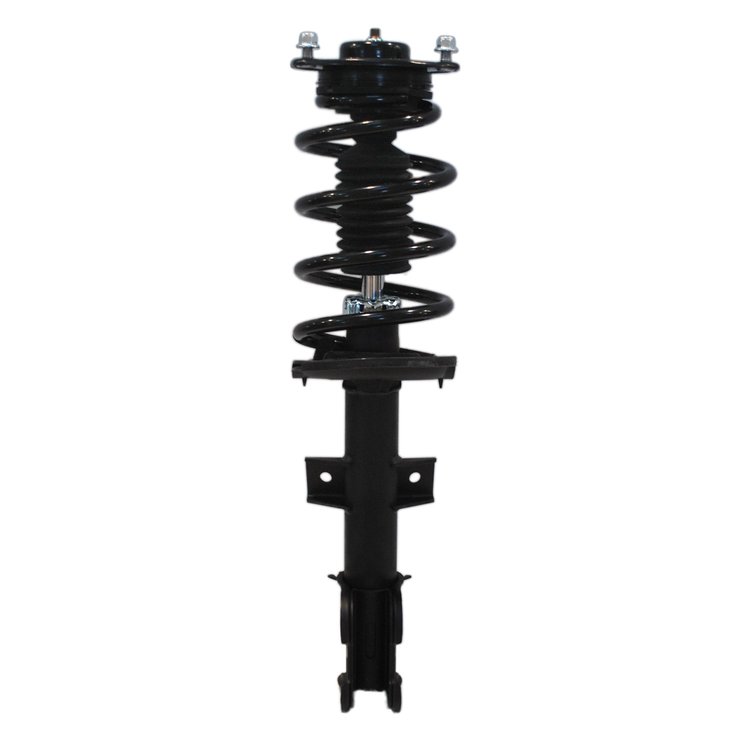 Strut Assembly